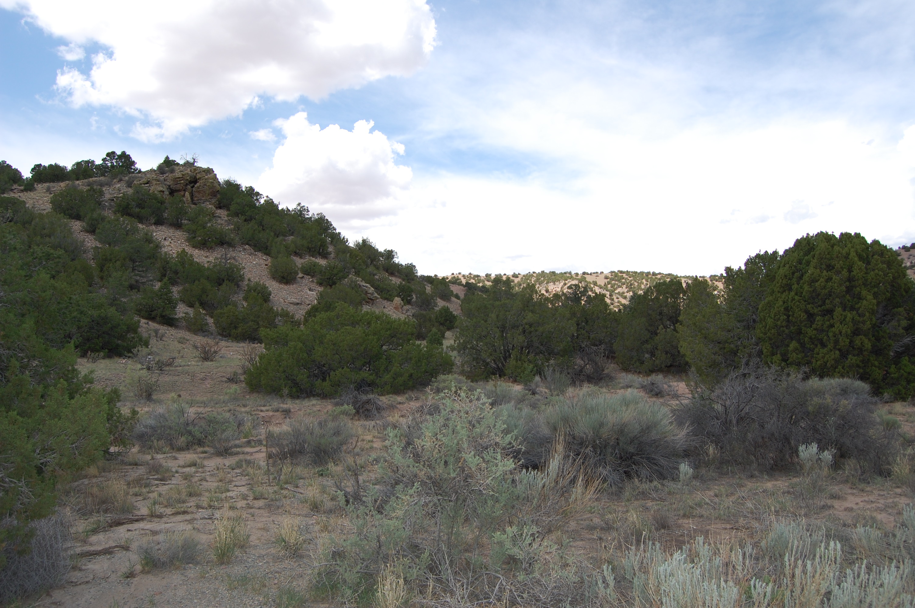 sell land in Santa Fe